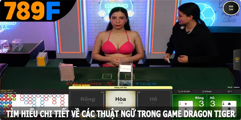 Tìm hiểu chi tiết về các thuật ngữ trong game Dragon Tiger Tìm hiểu chi tiết về các thuật ngữ trong game Dragon Tiger