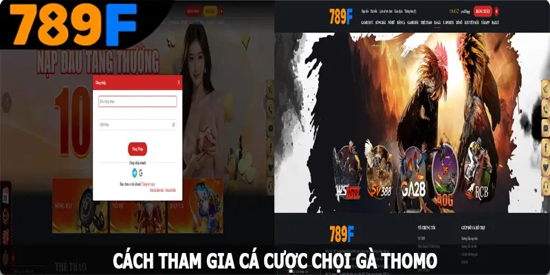 Cách tham gia cá cược chọi gà Thomo trên website 789F