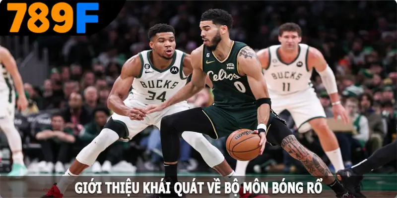 Giới thiệu khái quát về bộ môn bóng rổ tại 789F Giới thiệu khái quát về bộ môn bóng rổ tại 789F