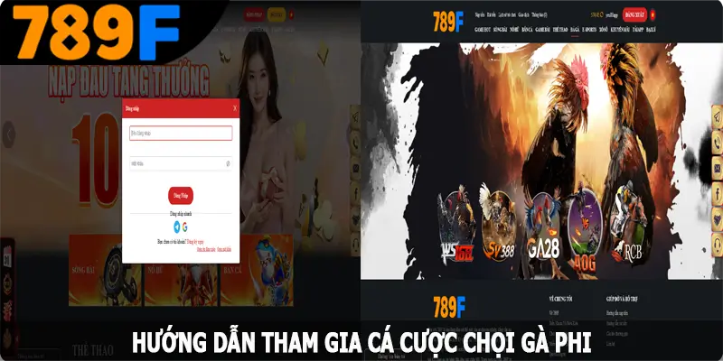 Hướng dẫn tham gia cá cược chọi gà Phi tại hệ thống 789F