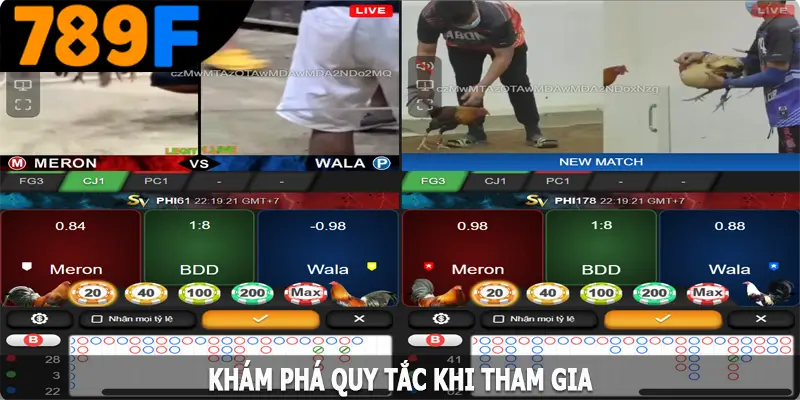 Khám phá quy tắc khi tham gia tại 789F Khám phá quy tắc khi tham gia tại 789F