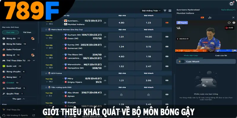 Luật chơi và đặt cược bóng gậy chi tiết Luật chơi và đặt cược bóng gậy chi tiết