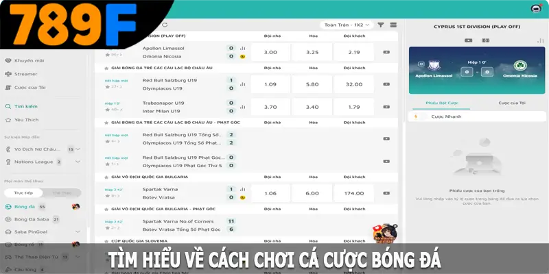 Tìm hiểu về cách chơi cá cược bóng đá tại nhà cái